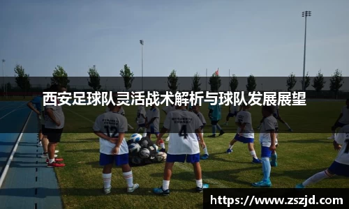球速体育平台入口