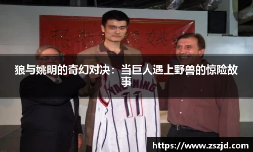 球速体育平台入口