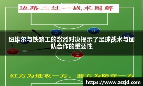 球速体育平台入口